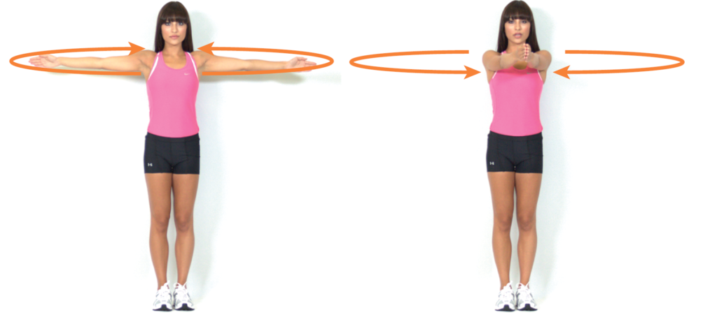 Сагиттальная, фронтальная и поперечная плоскости тела: упражнения и движения