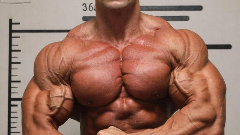 Железный путь к совершенству: Как выковать тело своей мечты и не сломаться в процессе