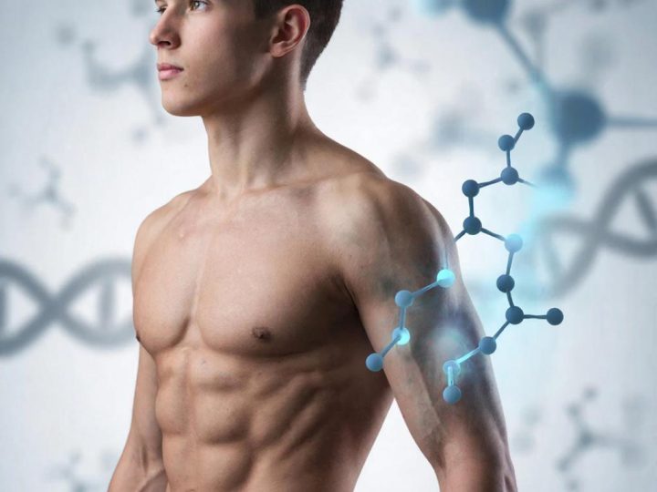 Эликсир вечной весны: Как гормон роста меняет правила игры в нашем теле