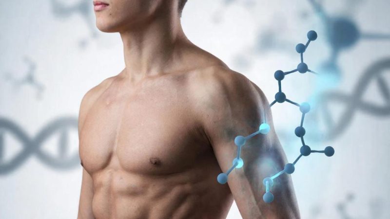Эликсир вечной весны: Как гормон роста меняет правила игры в нашем теле